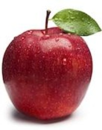 Picture for Academic Life Coaching Program package